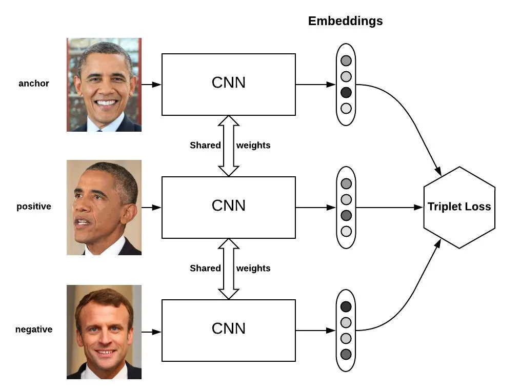 三元组网络示意：Anchor、Positive、Negative 经共享 CNN 得到向量，再计算 Triplet Loss